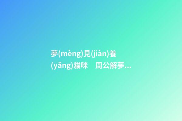 夢(mèng)見(jiàn)養(yǎng)貓咪　周公解夢(mèng)之夢(mèng)到養(yǎng)貓咪